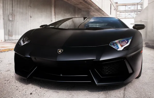 Black, the front, Lamborghini, aventador, Lamborghini LP700-4 Aventador