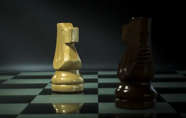 Horse, chess, figure