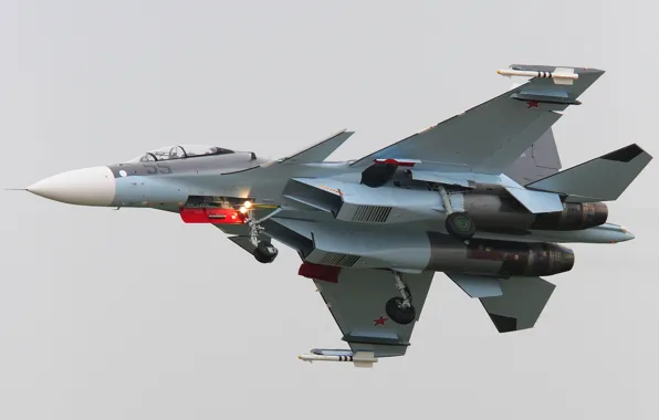 Fighter, multipurpose, double, Su-30CM