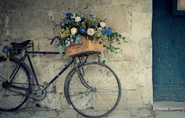 Flowers, bike, wall, basket, roses, box