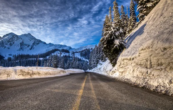 Forest, road, winter, mountain, snow