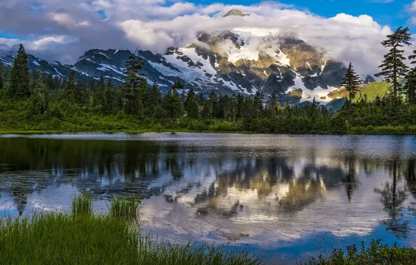 Forest, clouds, snow, mountains, reflection, shore, pine, pond