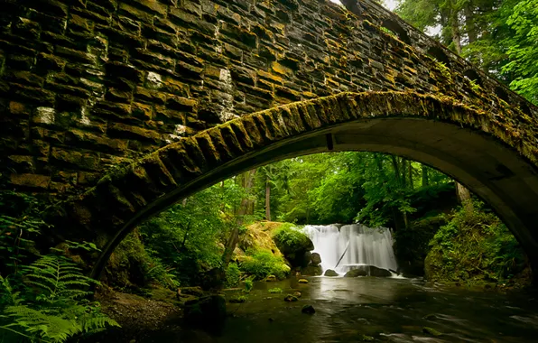 Forest, water, bridge, stones, waterfall