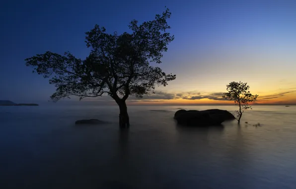 Picture trees, sunset, lake, stones, glow