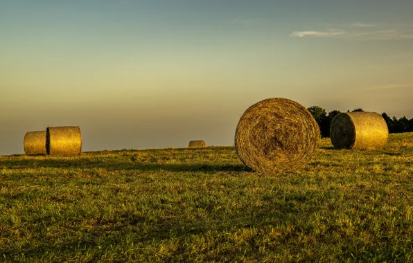 Field, light, hay, bales