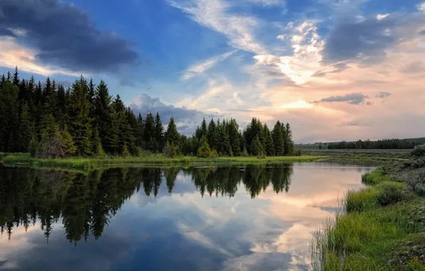 Picture forest, the sky, reflection, river