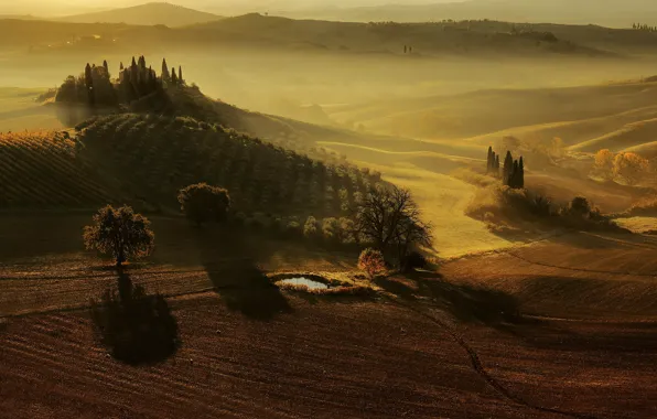 Picture Italy, Tuscany, San Quirico d'orcia