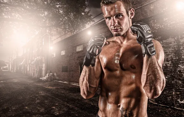 Gloves, Fight, Softbox