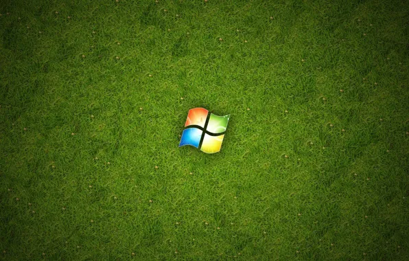 Grass, Windows, Logo, Hi-Tech
