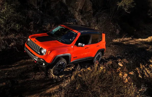 Picture jeep, Jeep, 2015, Renegade, Latitude