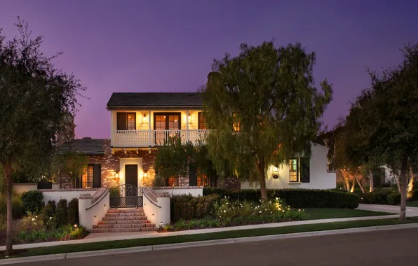 Picture trees, night, the city, photo, home, lights, mansion, the bushes