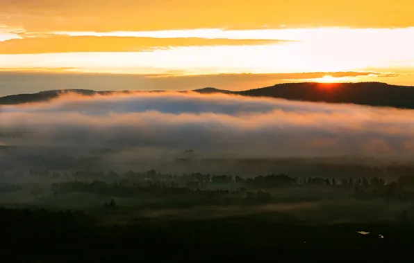 Light, fog, morning, valley