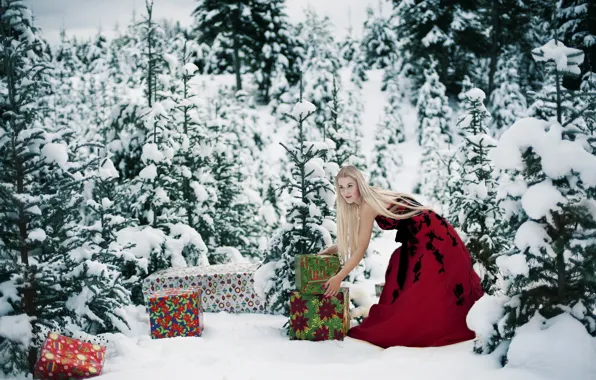 Winter, forest, girl, gifts