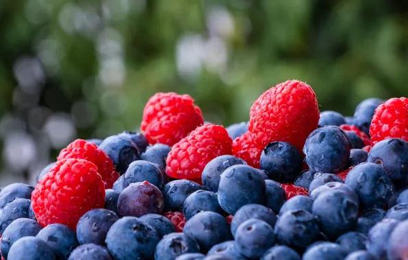 Macro, berries, raspberry, blueberries, a lot, blueberries