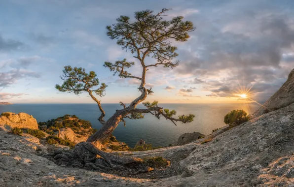 Sea, autumn, the sun, rays, landscape, sunset, nature, Crimea