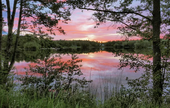 Trees, lake, reflection, dawn, morning, Sweden, Sweden, Nacka