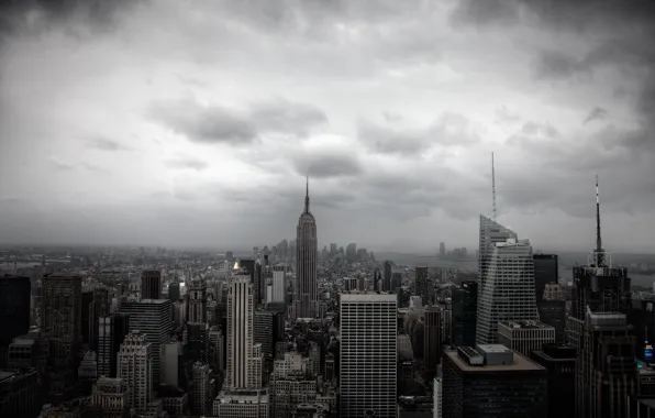 New York, skyscrapers, jungle, Manhattan, New York City, Empire State Building, reinforced concrete