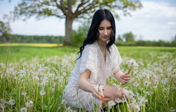 Field, model, dandelions, brunette, gorgeous, posing, beautiful face, outdoors
