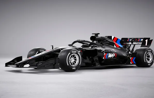 The car, formula, Volodymyr Borovkov