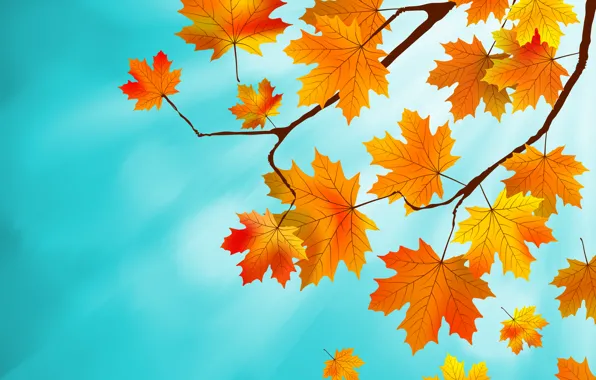 maple leaves background