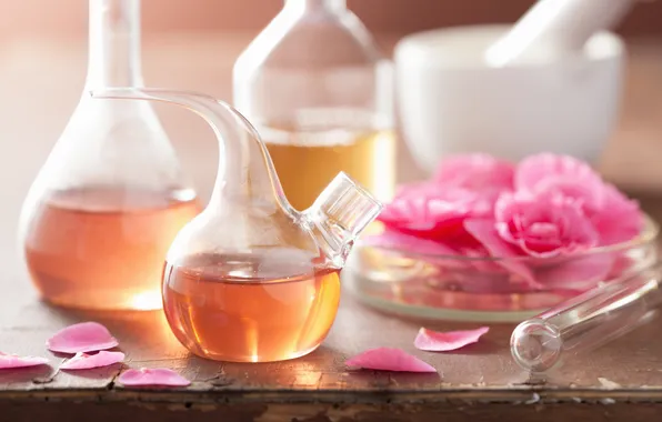 Flowers, roses, petals, still life, pink flowers, spa