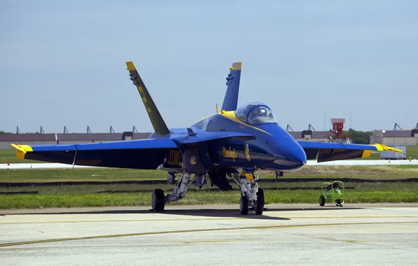 Picture blue, the plane, fighter, blue angels