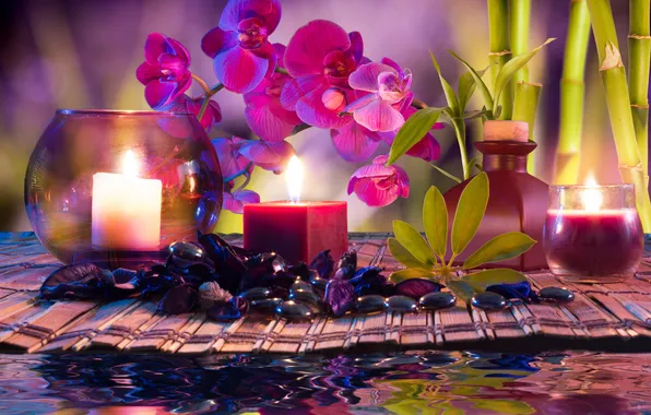 Water, flowers, candles, bamboo, orchids, water, flowers, Spa