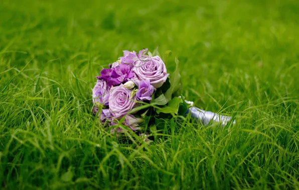 GRASS, GREENS, MACRO, ROSES, BOUQUET