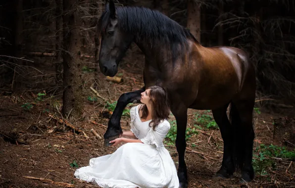 Girl, nature, horse
