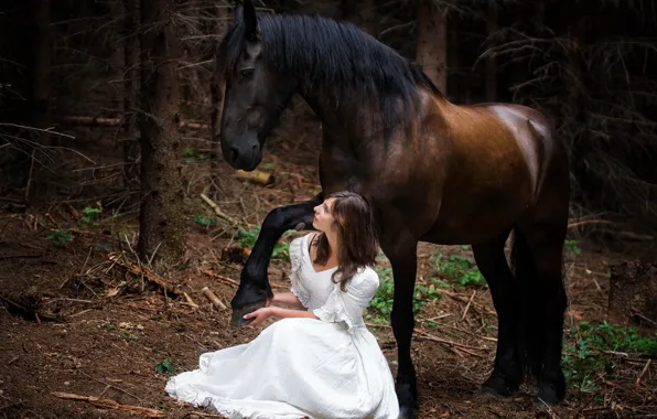 Picture girl, nature, horse