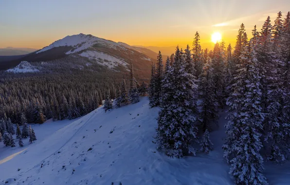 Picture winter, forest, snow, sunset, mountains, ate, slope, Russia