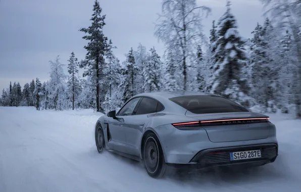 Picture snow, trees, grey, Porsche, ass, 2020, Taycan, Taycan 4S