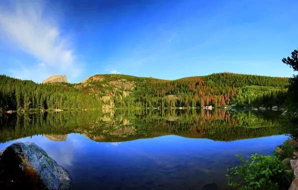 Forest, nature, lake, reflection, reflection, Bear lake