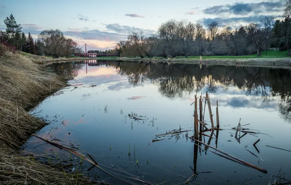 Nature, river, Jeff Wallace, Sturgeon River