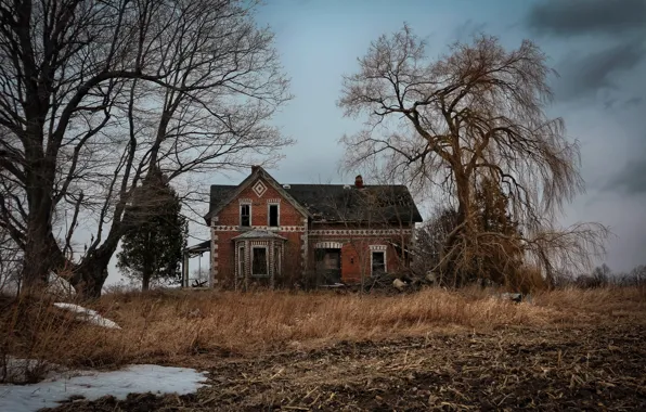 Picture trees, house, background