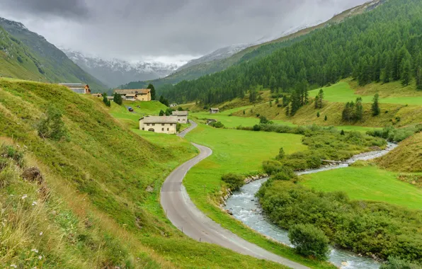 Road, greens, forest, mountains, hills, the slopes, houses