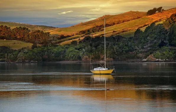 Picture trees, lake, hills, boat, the evening