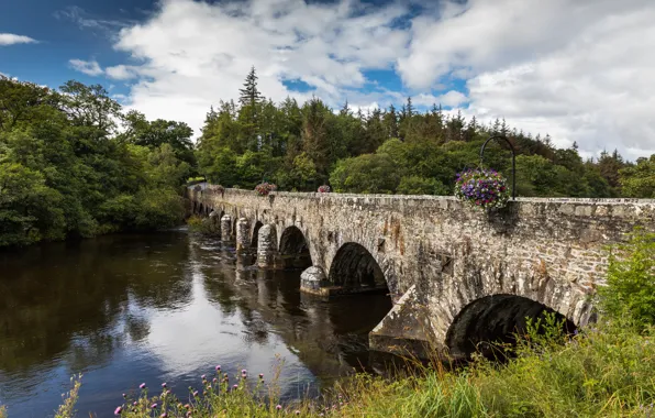 Forest, grass, clouds, trees, bridge, river, Ireland, Kerry