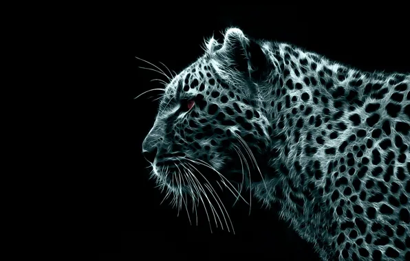 Picture black, treatment, leopard