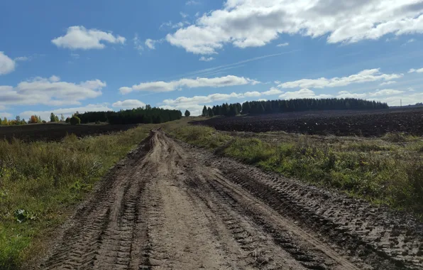 Nature, Road, Autumn, Forest, Landscape, Ural, September, Copperhead