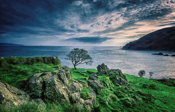 Sea, Shore, Stones