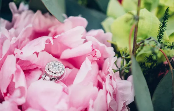 Picture stones, petals, ring, peony