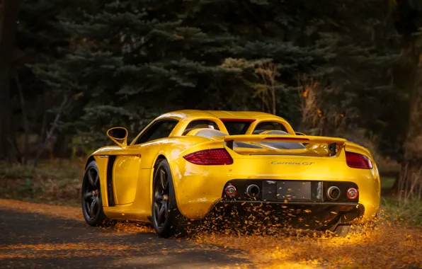 Porsche, drive, Porsche Carrera GT, rear view