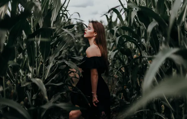 Picture girl, corn, dress, Alice Gurinovich