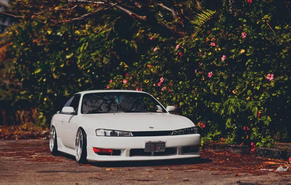 Flowers, tuning, Nissan, stance, nissan silvia