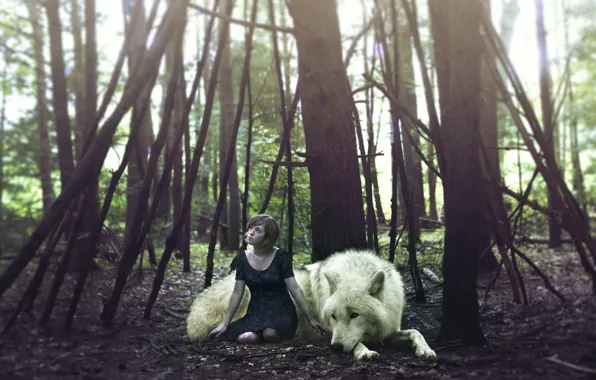 Forest, girl, wolf