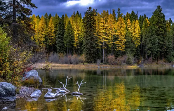 Autumn, forest, trees, mountains, clouds, nature, lake, stones