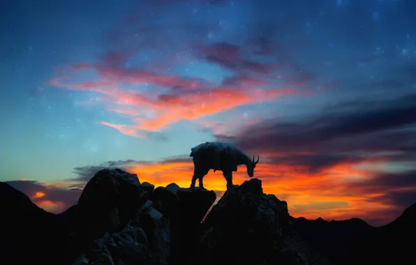 The sky, clouds, sunset, mountains, night, stones, rocks, goat