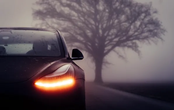 Tesla Parked In Front Of Red Mountain 4K Phone Wallpaper