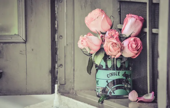 Picture flowers, roses, Bank